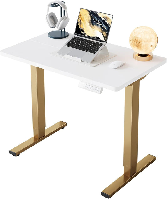 CHITOOMA Electric Standing Desk with 4 Memory Height Settings, 32" Small Height Adjustbale Desk, Sit Stand Up Desk for Home Office, White + Gold