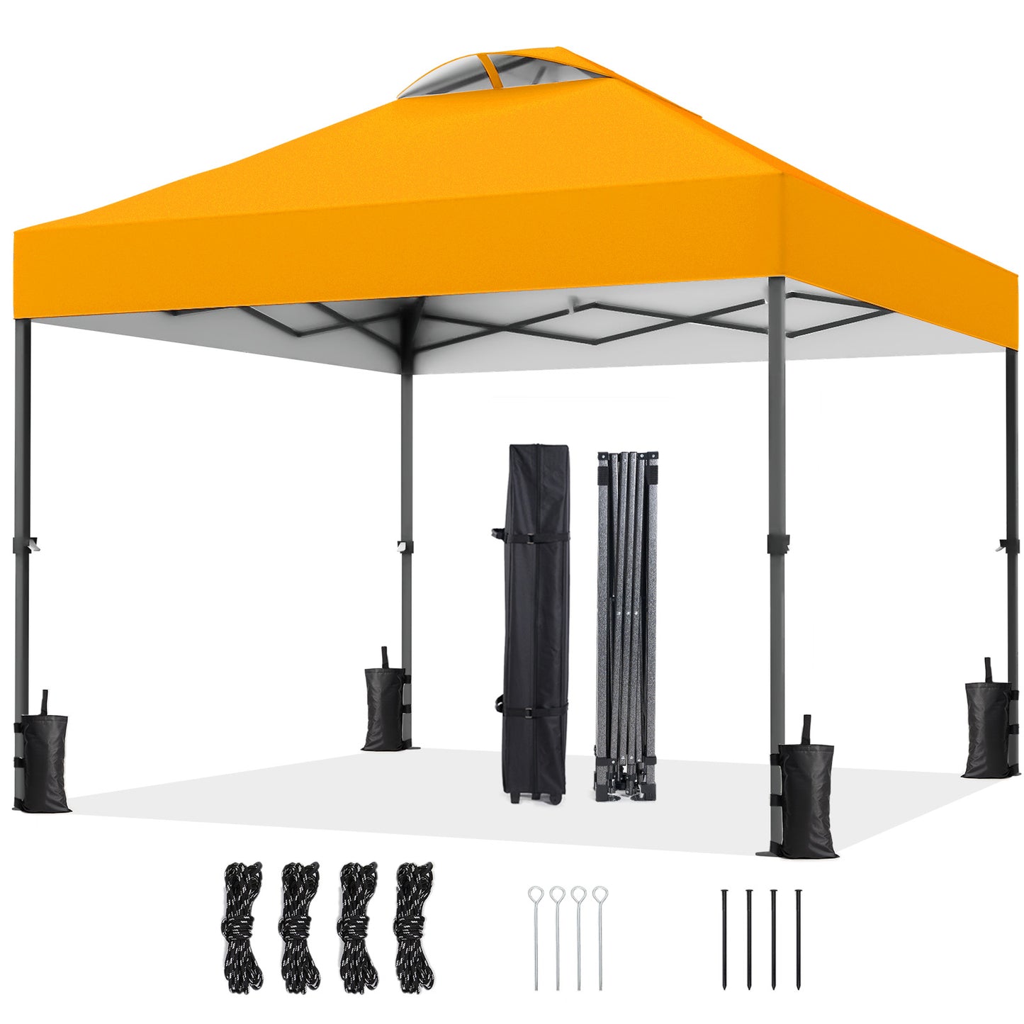 CHITOOMA 10 x 10ft Pop up Canopy Tent, Instant Outdoor Shelter Easy Portable Straight Leg Canopy Tent