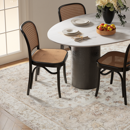 CHITOOMA 3'x5' Machine-washable Area Rugs for Living Room, Stain Resistant Non-Shed Carpet, Boho Floral Area Rugs with Non-Slip Backing for Bedroom, Dining Room, Dorm, Office