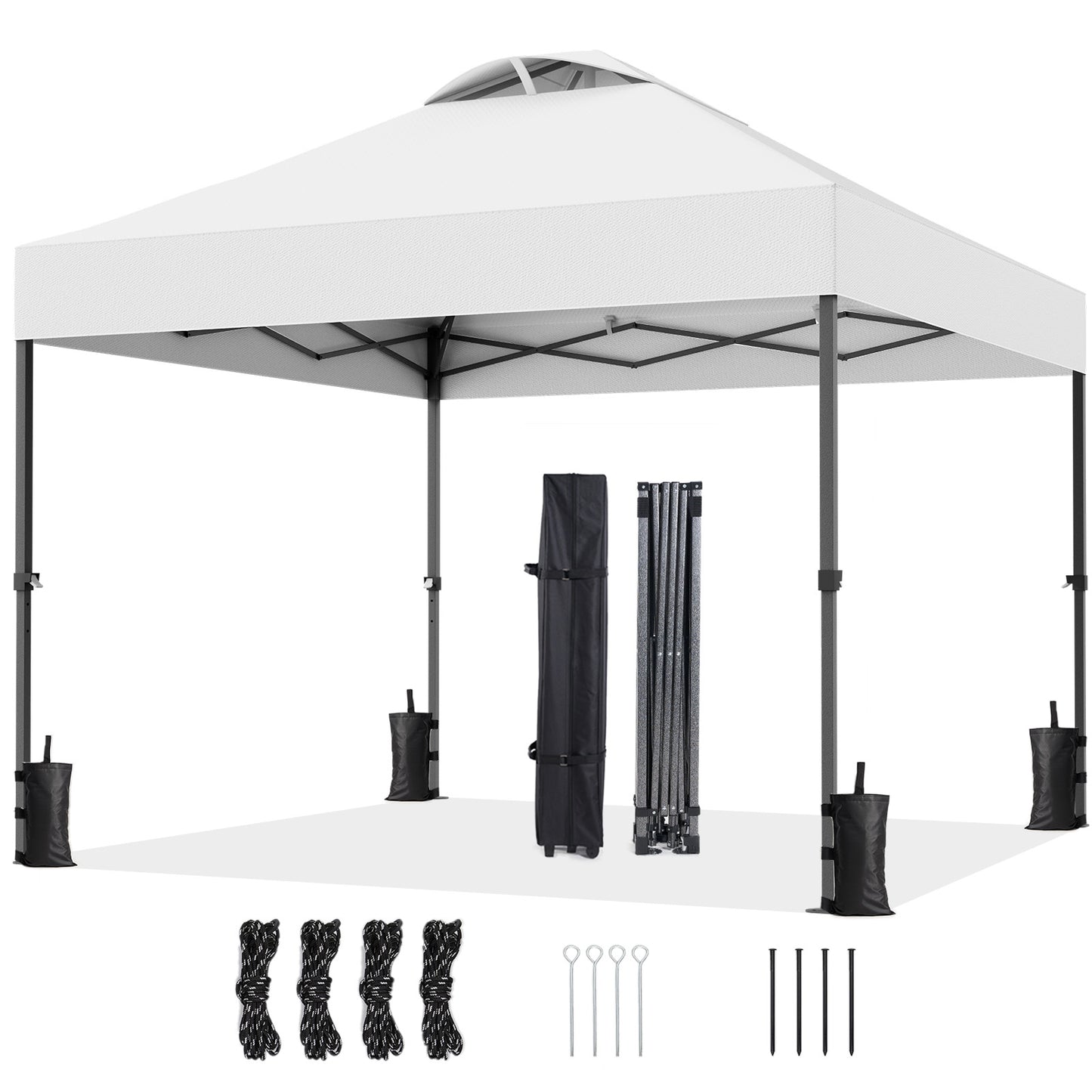 CHITOOMA 10 x 10ft Pop up Canopy Tent, Instant Outdoor Shelter Easy Portable Straight Leg Canopy Tent