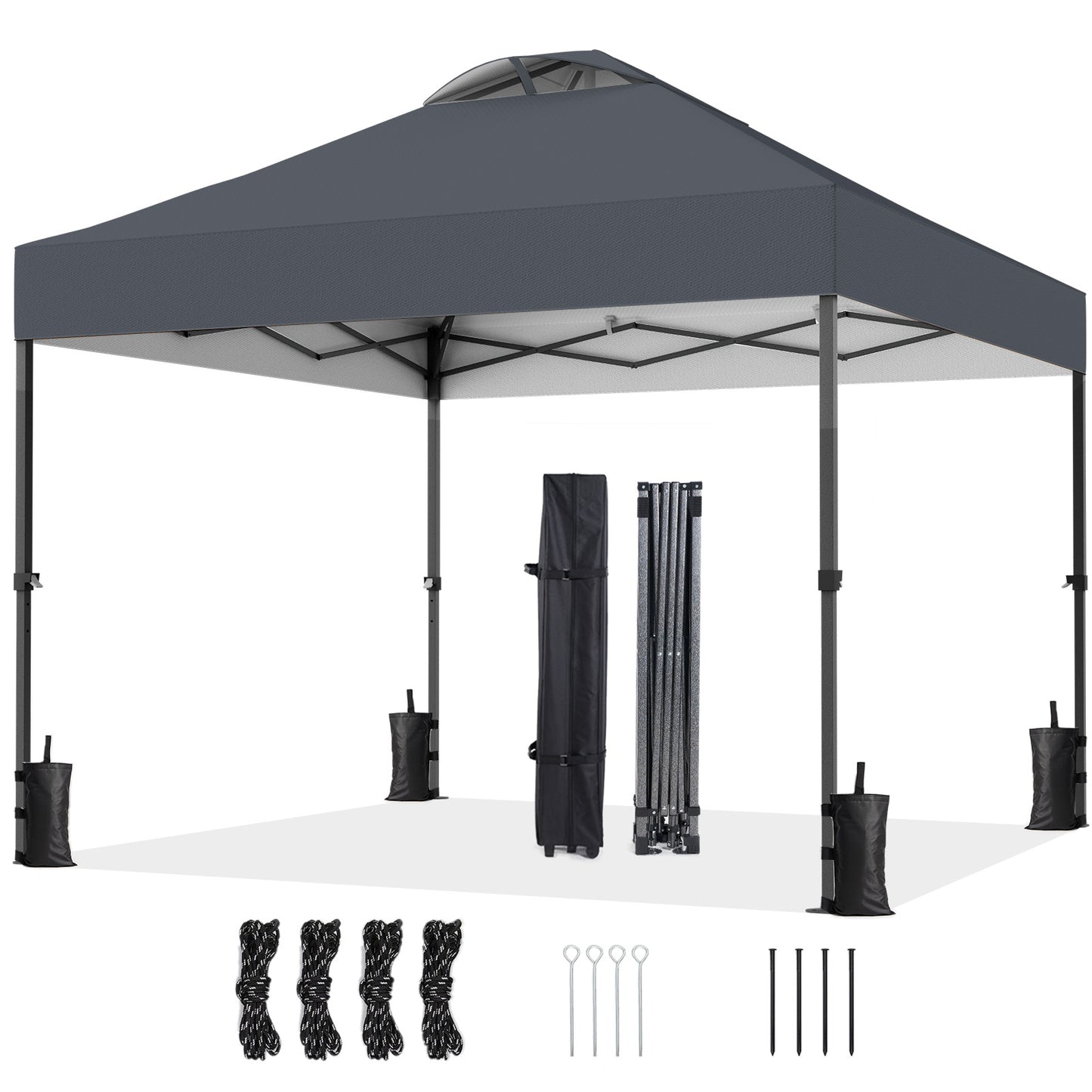 CHITOOMA 10 x 10ft Pop up Canopy Tent, Instant Outdoor Shelter Easy Portable Straight Leg Canopy Tent