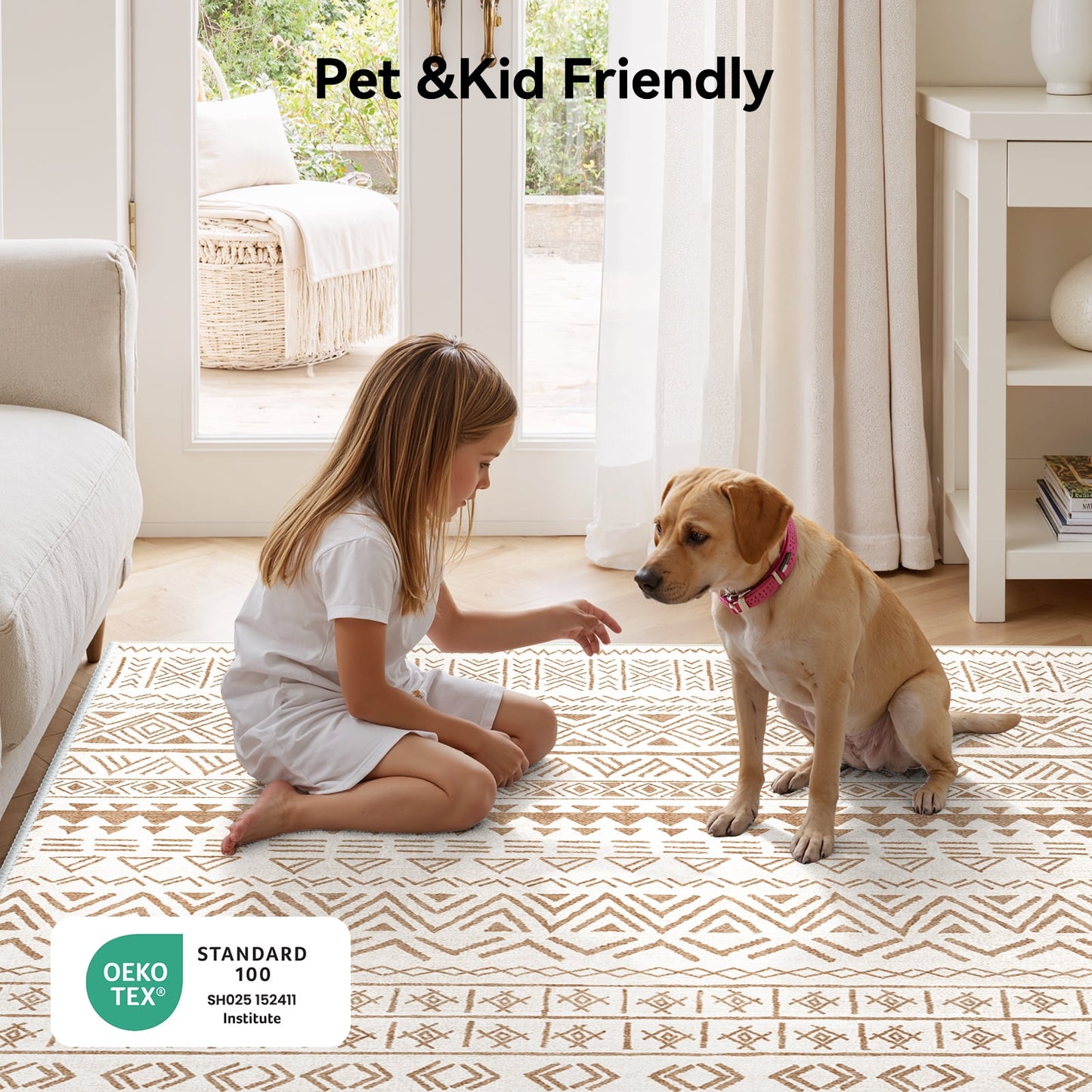 CHITOOMA 5'x7' Area Rugs for Living Room, Washable Rugs Boho Soft Geometric Bohemian Carpet Indoor Rug for Bedroom Dining Room Office Nonslip Foldable Rug