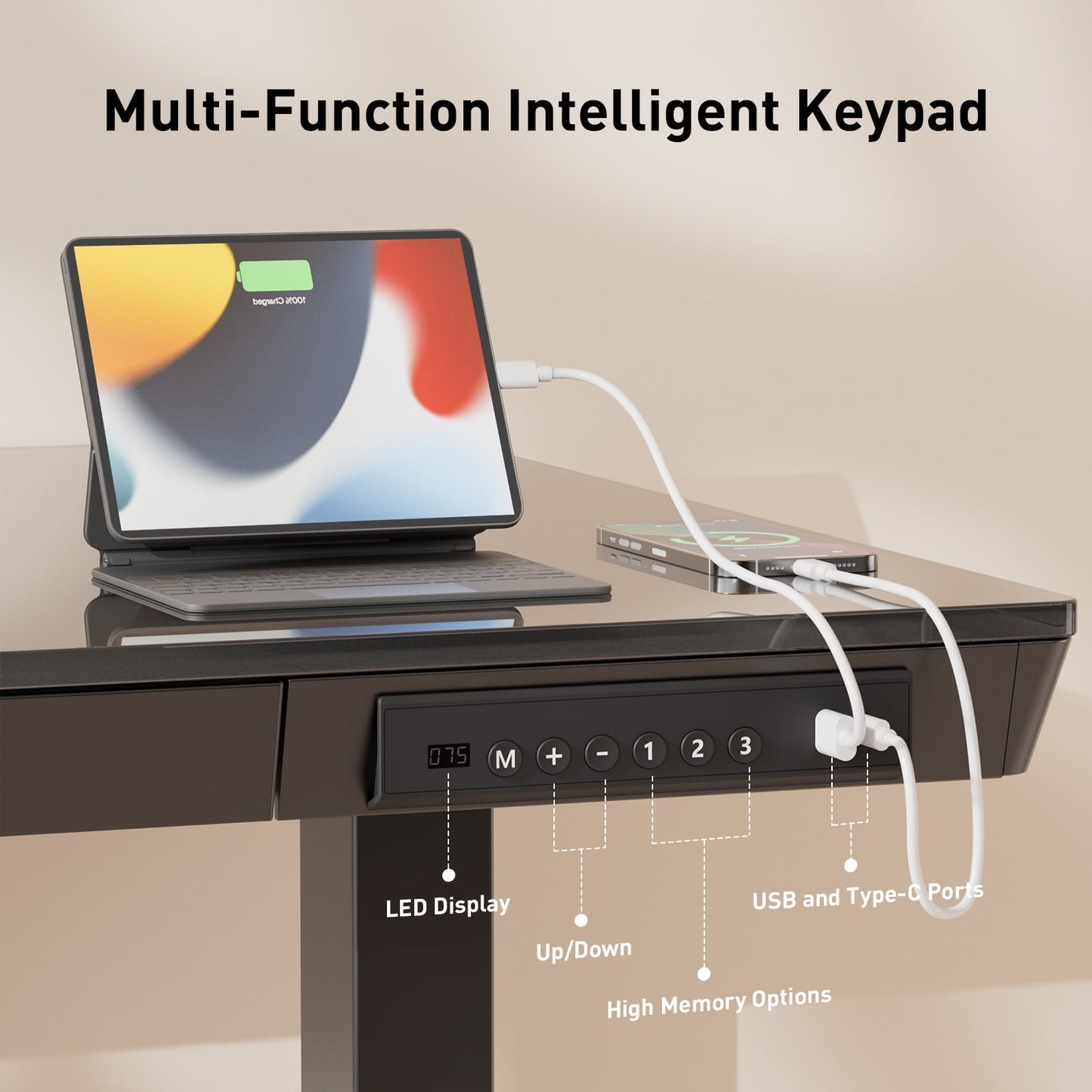 CHITOOMA Glass Top Electric Standing Desk with Drawer, 55'' x 28'' Electric Height Adjustable Desk with USB Charging Ports, Sit Stand up for Home Office