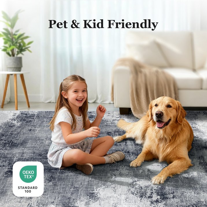 CHITOOMA 5'x7' Area Rugs for Living Room, Machine Washable Abstract Distressed Rugs Indoor Neutral Carpet Rugs for Bedroom Dining Room Office with Non-Slip Backing, Stain Resistant Non-Shed