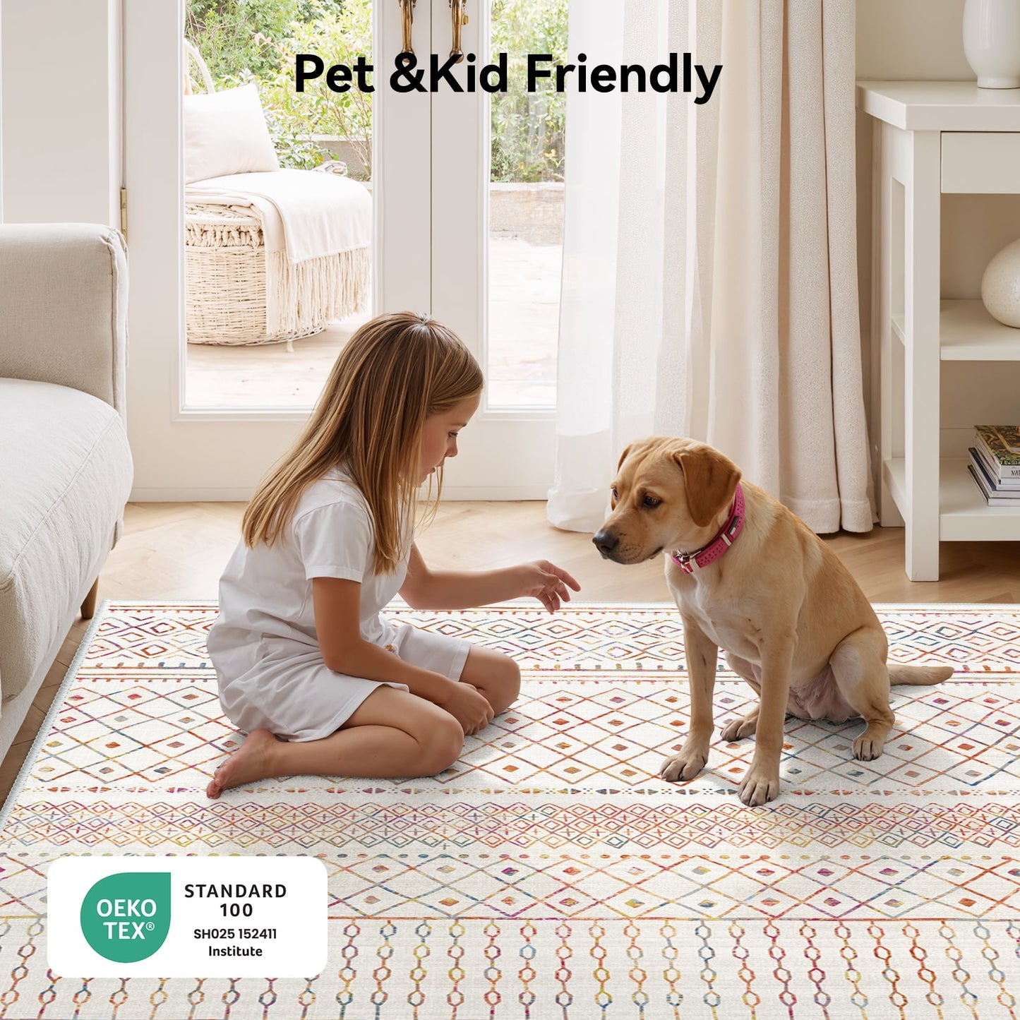 CHITOOMA 5'x7' Area Rugs for Living Room, Washable Rugs Boho Soft Geometric Bohemian Carpet Indoor Rug for Bedroom Dining Room Office Nonslip Foldable Rug