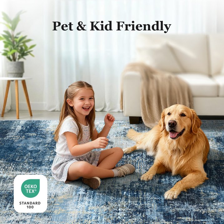 CHITOOMA 5'x7' Area Rugs for Living Room, Machine Washable Abstract Distressed Rugs Indoor Neutral Carpet Rugs for Bedroom Dining Room Office with Non-Slip Backing, Stain Resistant Non-Shed