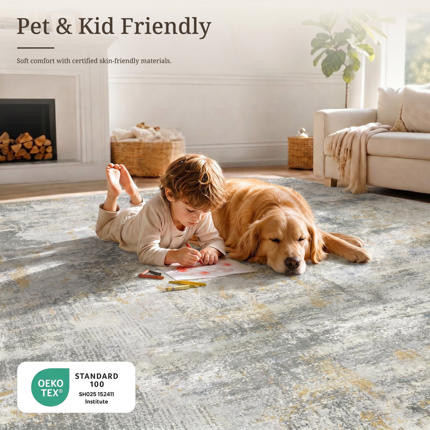 CHITOOMA 5'x7' Area Rugs for Living Room, Machine Washable Rugs for Bedroom Dining Room Dorm Office with Non-Slip Backing, Stain Resistant Non-Shed Carpet