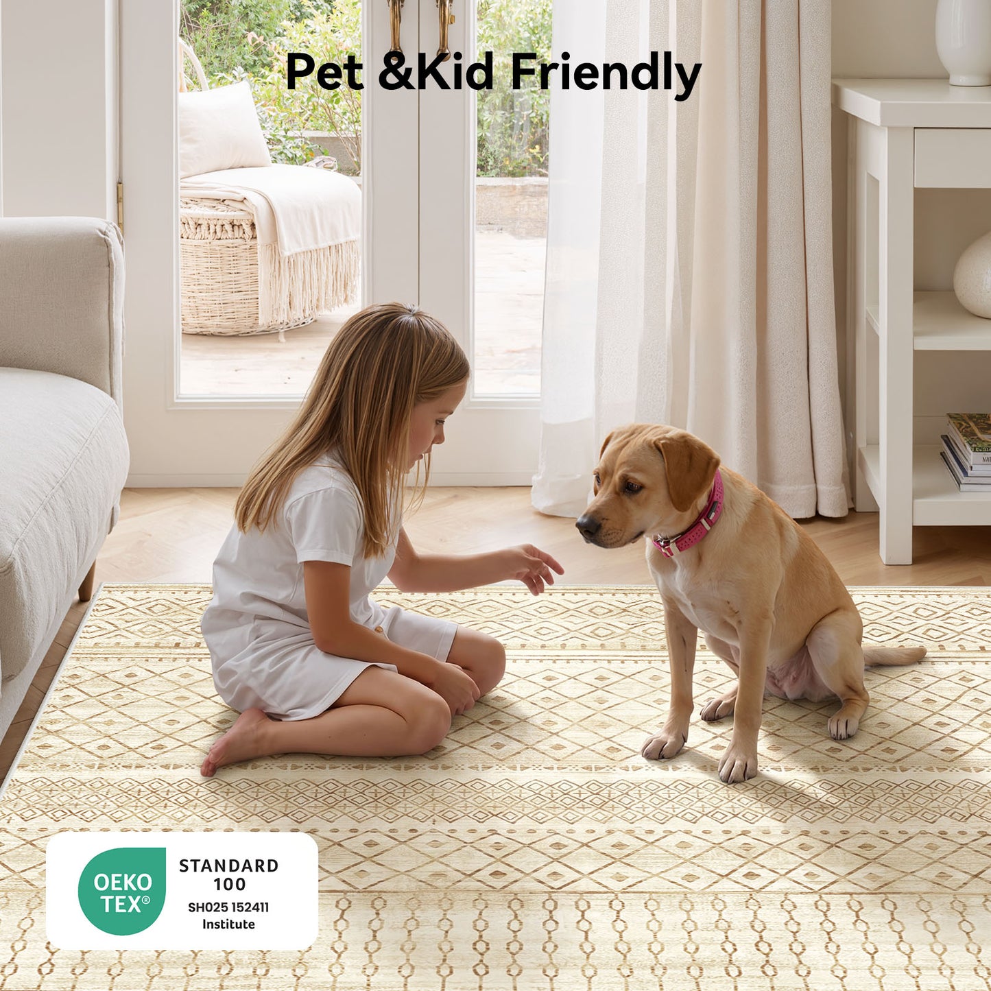 CHITOOMA 6'x9' Area Rugs for Living Room, Washable Rugs Boho Soft Geometric Bohemian Carpet Indoor Rug for Bedroom Dining Room Office Nonslip Foldable Rug