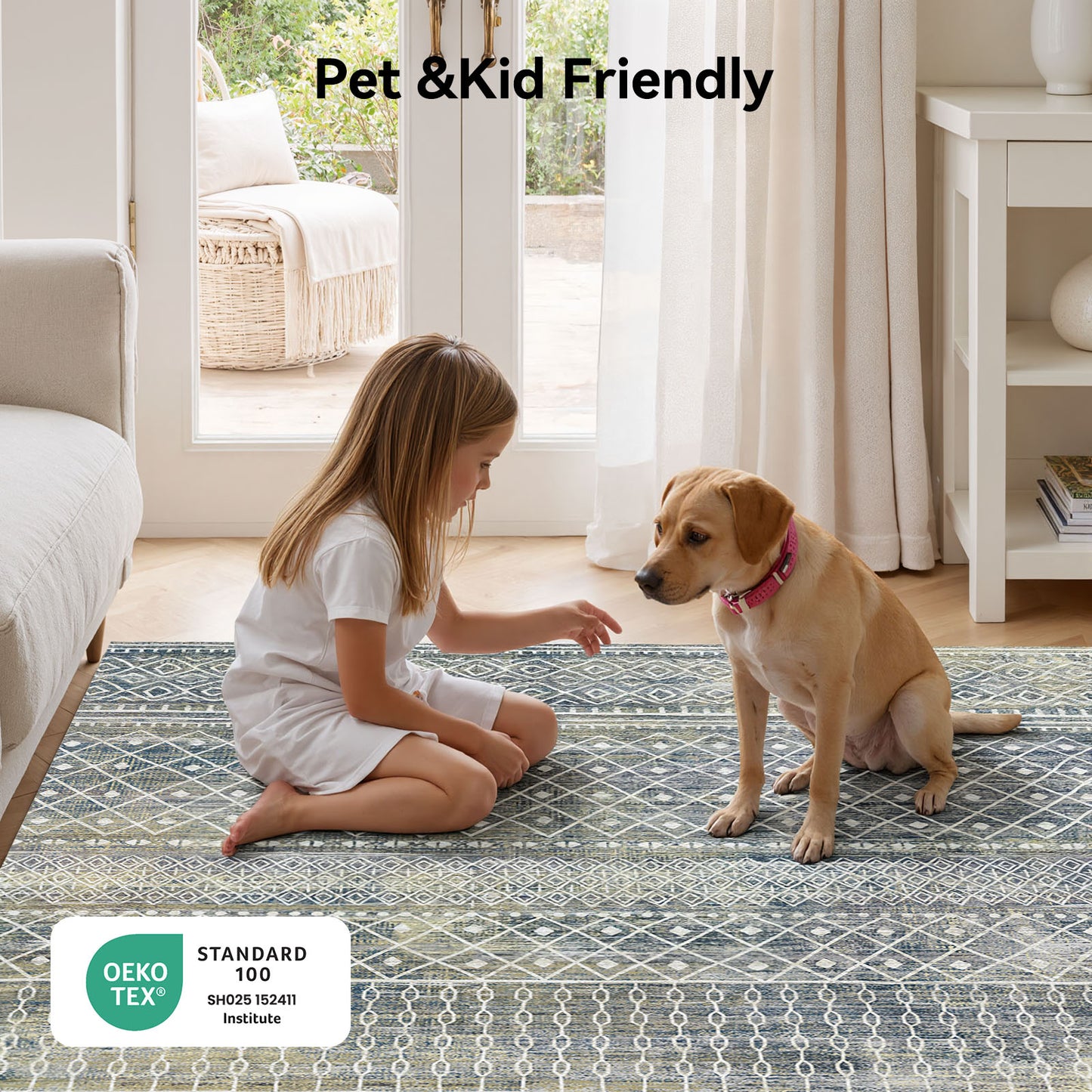 CHITOOMA 5'x7' Area Rugs for Living Room, Washable Rugs Boho Soft Geometric Bohemian Carpet Indoor Rug for Bedroom Dining Room Office Nonslip Foldable Rug