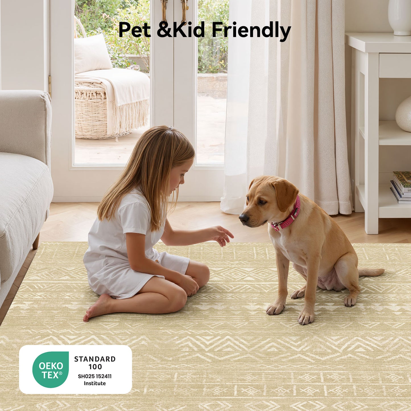 CHITOOMA 8'x10' Area Rugs for Living Room, Washable Rugs Boho Soft Geometric Bohemian Carpet Indoor Rug for Bedroom Dining Room Office Nonslip Foldable Rug