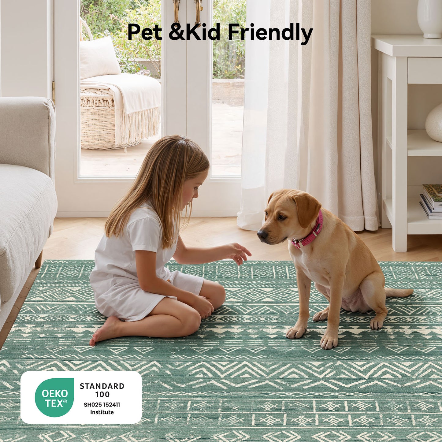 CHITOOMA 5'x7' Area Rugs for Living Room, Washable Rugs Boho Soft Geometric Bohemian Carpet Indoor Rug for Bedroom Dining Room Office Nonslip Foldable Rug