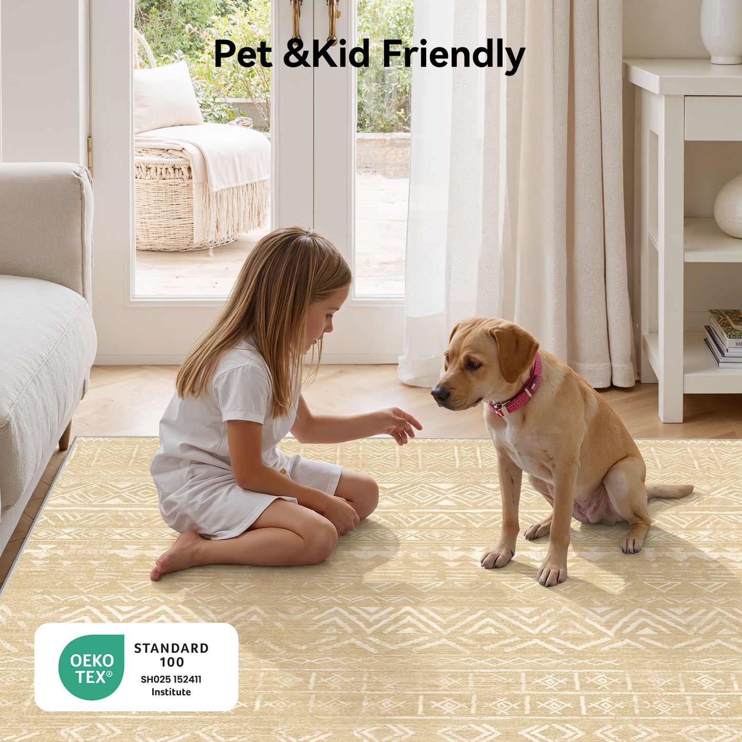 CHITOOMA 5'x7' Area Rugs for Living Room, Washable Rugs Boho Soft Geometric Bohemian Carpet Indoor Rug for Bedroom Dining Room Office Nonslip Foldable Rug