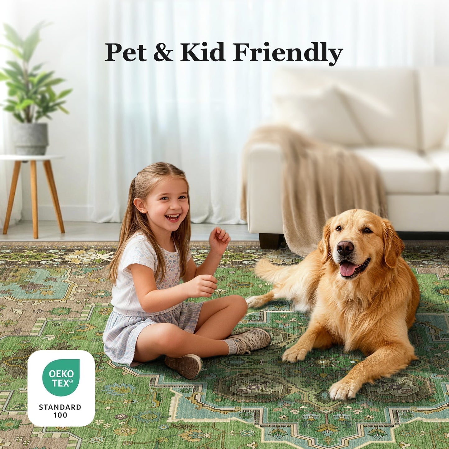 CHITOOMA 8'x10' Boho Area Rugs for Living Room, Machine Washable Stain Resistant Non-Shed Carpet, Area Rug with Non-Slip Backing for Bedroom, Dining Room, Dorm, Office