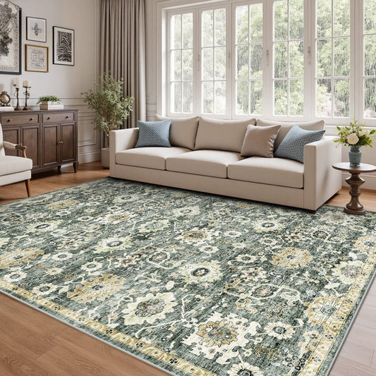 CHITOOMA 5'x7' Area Rugs for Living Room, Machine Washable Rugs Vintage Area Rug for Bedroom Dining Room Dorm Office with Non-Slip Backing, Stain Resistant Non-Shed Carpet