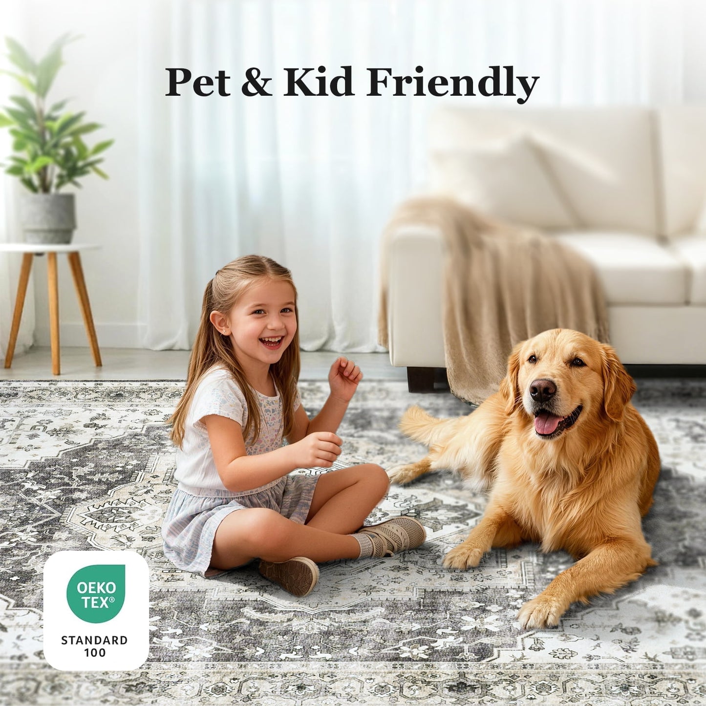 CHITOOMA 5'x7' Machine-washable Area Rugs for Living Room, Stain Resistant Non-Shed Carpet, Boho Area Rugs with Non-Slip Backing for Bedroom, Dining Room, Dorm, Office