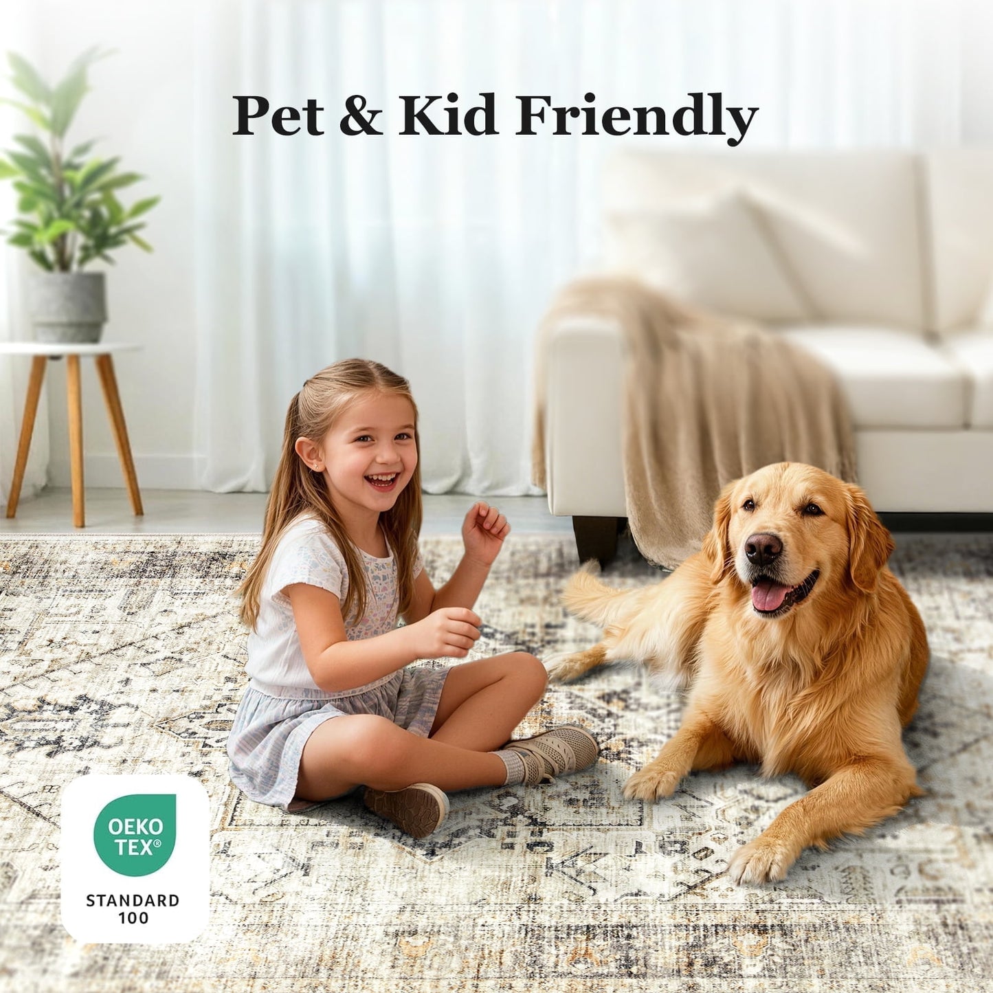 CHITOOMA 5'x7' Boho Area Rugs for Living Room, Machine Washable Stain Resistant Non-Shed Carpet, Area Rug with Non-Slip Backing for Bedroom, Dining Room, Dorm, Office